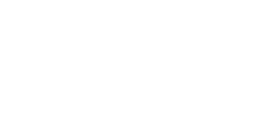 Logo 9